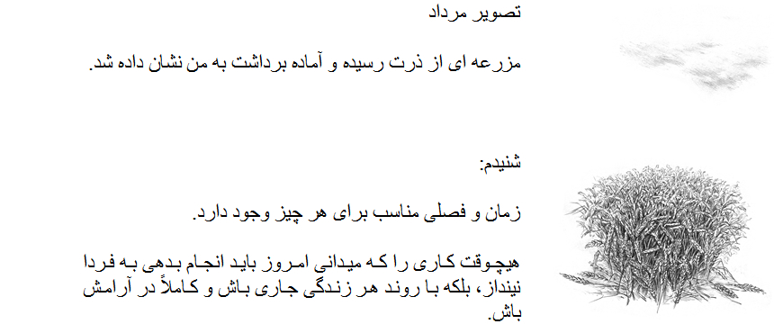 کتاب صدای کوچک